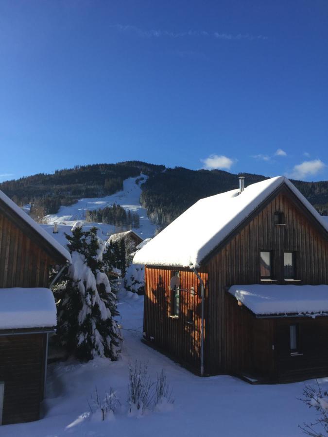 Alpenferienhaus Kreischberg Sankt Lorenzen ob Murau Exterior photo
